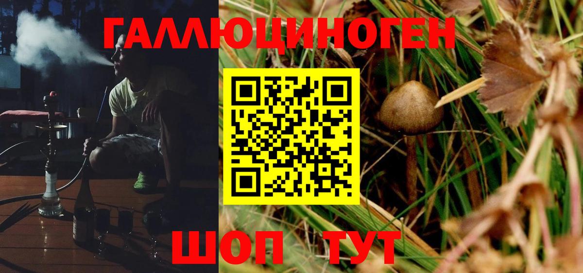 Псилоцибиновые грибы мухоморы Елец