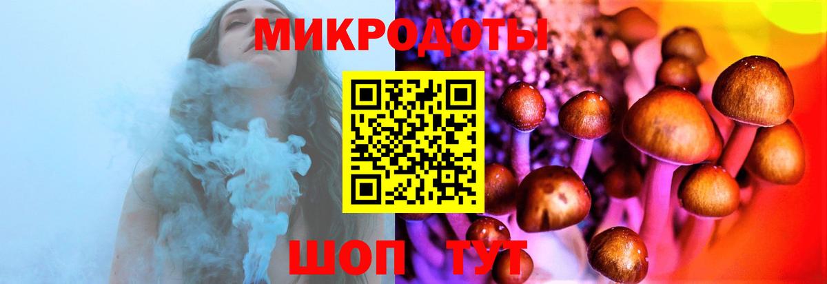 Елец  Псилоцибиновые грибы мухоморы  Вход с VPN 