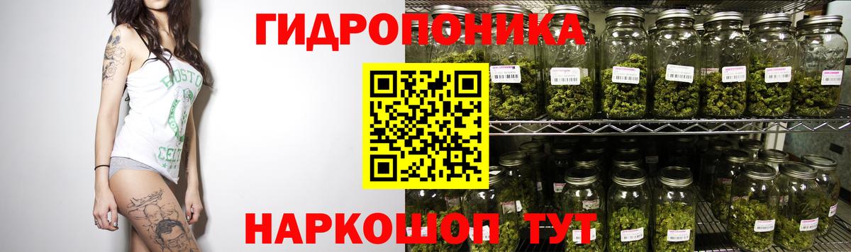 Елец  МАРИХУАНА Amnesia  Бошки Шишки Amnesia  Вход с VPN 